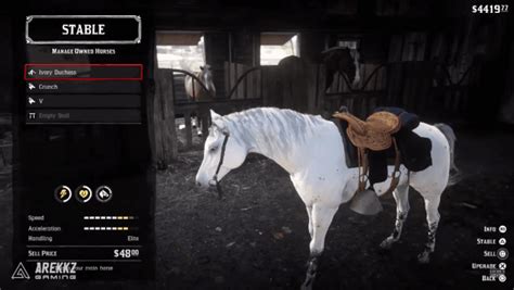 Red Dead Redemption 2 - White Horse