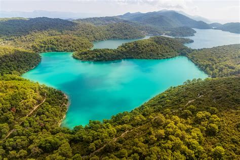 Posjetite zeleni otok i NP Mljet vikendima u ožujku - Javna ustanova ...