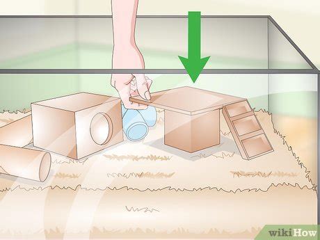 How to Set Up a Gerbil Cage: 15 Steps (with Pictures) - wikiHow