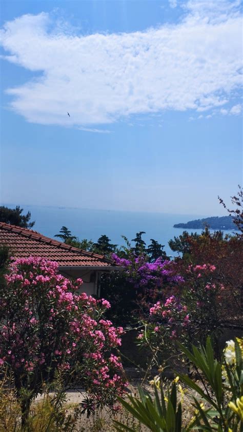 Büyükada / Islands Deniz Manzarası /Sea View #ıslands #adalar #istanbul #turkey #büyükada # ...