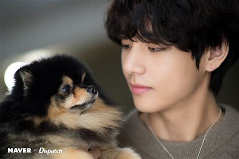 BTS's V Wants To Get Yeontan A Friend, But His Parents Have Different Opinions With Each Other ...