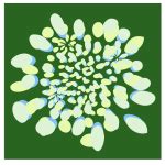 Prismatic Flower Line Art 4 No Background | Free SVG