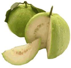 Jambu batu - guava benefits for health | Today Food Tips Recipe Healthy