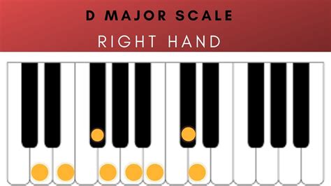 D MAJOR SCALE - FOR PIANO BEGINNERS - YouTube