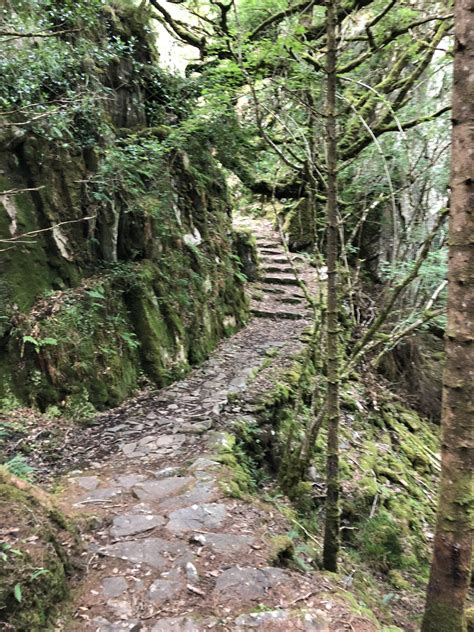 Where's Paulo? — Hiking the Kerry Way, Ireland