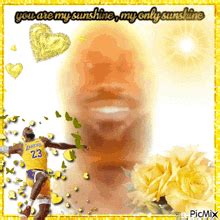 You Are My Sunshine Lebron GIF – You are my sunshine Lebron Lebron ...