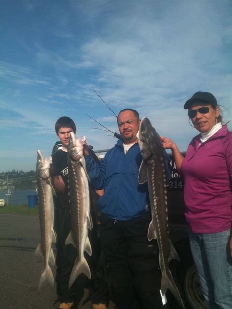 Sturgeon Season 2015 | OR & WA Fishing Guide | Marvin Henkel