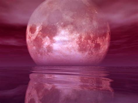 100+ ideas to try about moon | Purple, Harvest moon and Aurora borealis ...