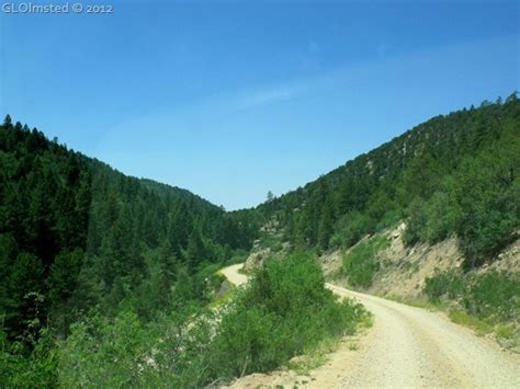 Wildlife ride in Kaibab National Forest