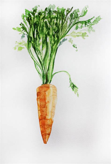 Original Watercolor Painting, Carrot Organic art, Vegetables Carrot ...