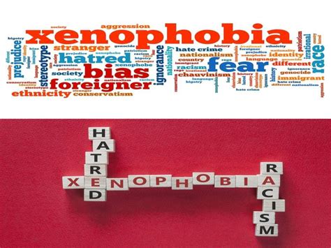 Xenophobia. Types of xenophobia.Causes of xenophobia - online presentation