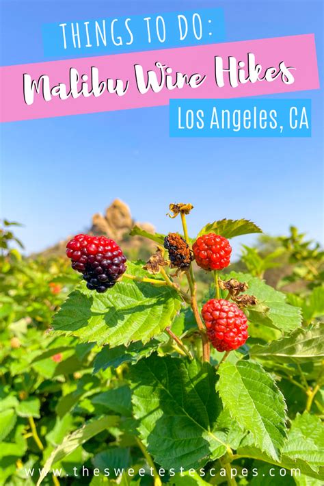 Malibu Wine Hikes - Best Hike in Los Angeles, California — The Sweetest Escapes