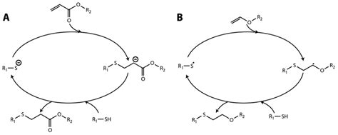 Thiol-ene reaction mechanisms | Download Scientific Diagram