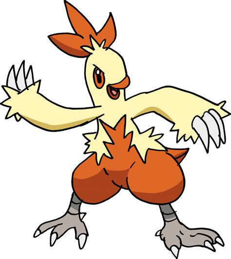 256 - Combusken by Tails19950 on DeviantArt