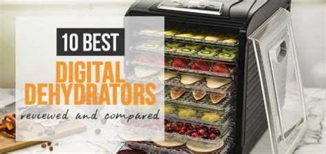 10 Best Digital Food Dehydrators in 2023 - Reviews