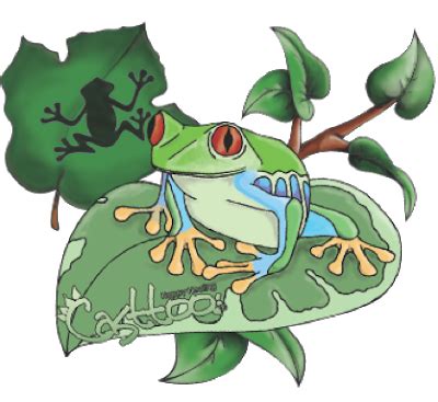 Tattoos Spot: Tree frog tattoos