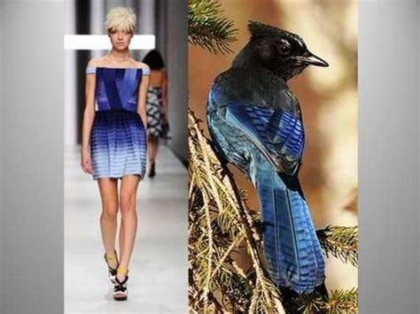 Biomimicry in fashion