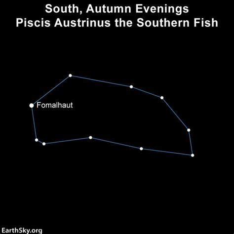 Meet Piscis Austrinus the Southern Fish and lonely Fomalhaut