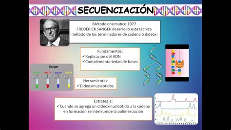 Técnicas de biologia molecular – Trabalho de formatura