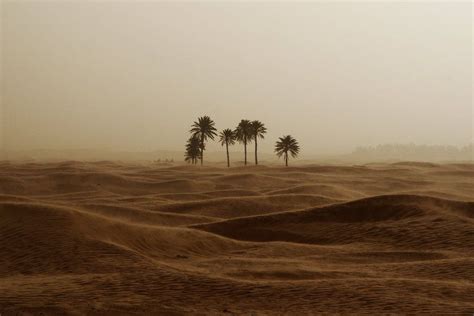 "Sandstorm in Sahara" by Aleksandr Livmanis #sahara #sand #storm #desert