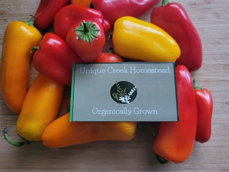 SWEET MINI PEPPER Seeds Grown at Unique Creek Homestead Certified National Wildlife Sanctuary ...