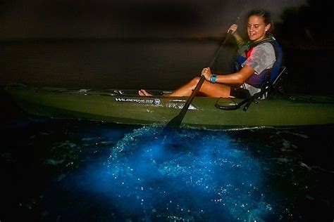 2023 Bioluminescence Kayak Tour