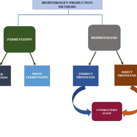 Methods of Biohydrogen Production | Download Scientific Diagram