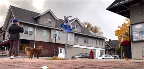 Buffalo Fans Loved Josh Allen's Hurdle So Much They Went & Renamed A Street After It - Free Beer ...