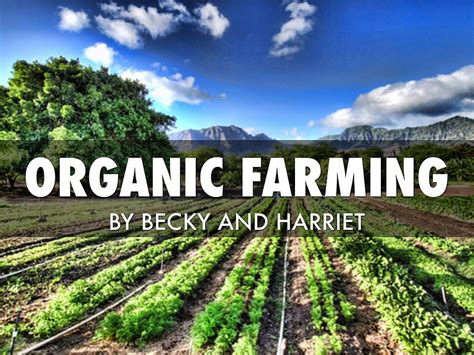 Organic Farming by Harriet Law HD wallpaper | Pxfuel