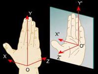 What is lateral inversion rn Science Light - 3499132 | Meritnation.com