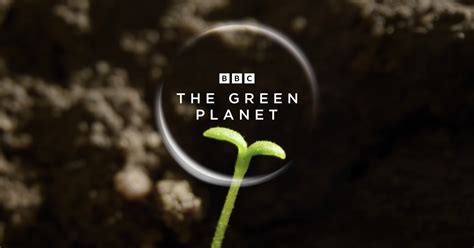 How BBC Earth Brought Plants to Life for 'The Green Planet' Documentary | PetaPixel