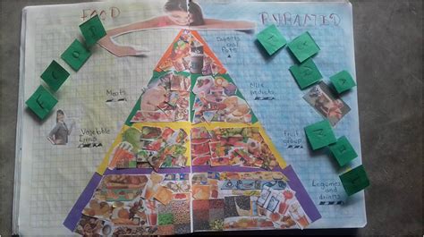 FOOD PYRAMID - Evelyn´s porfolio