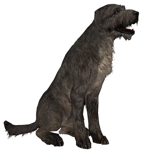 Dog - Skyrim Wiki