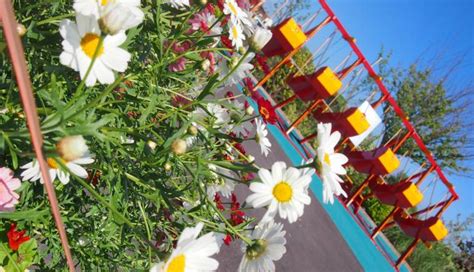 Fairground At Butlins: Bognor Regis Fairground Fun