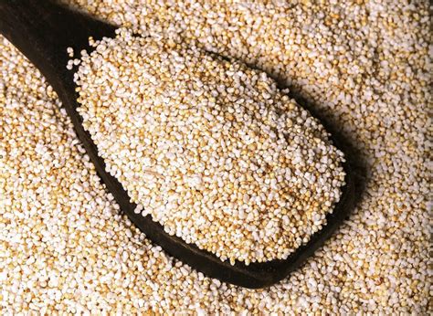 Amaranth: 10 Health Benefits of Amaranth