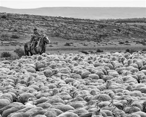 Patagonia Photo Tours and Workshops