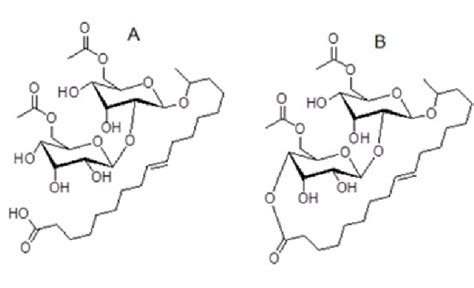 Chemical structure of A) acidic and B) lactonic sophorolipids | Download Scientific Diagram