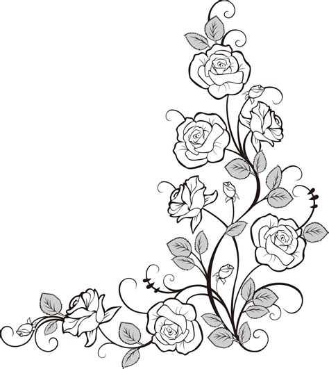 Image result for roses pyrography templates | Roses drawing, Flower drawing, Drawing borders