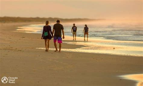 Ocracoke Beaches & Wildlife