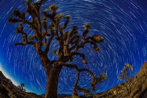 Joshua star trails | Joshua Tree National Park, CA | Focus - A Vermont ...