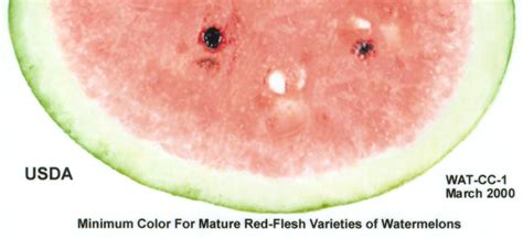 Watermelon | Postharvest Research and Extension Center