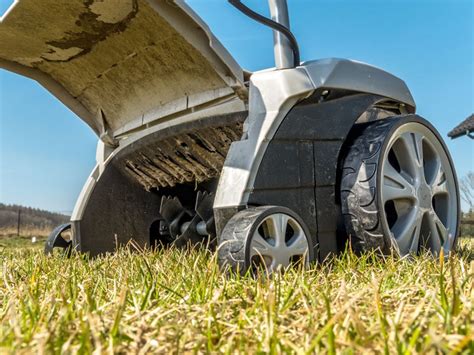 Dethatching Blade vs Power Rake - Which One Is Better in 2024? - Weed Killer Guide