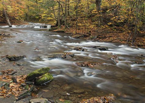 10 Deep Depth of Field Examples. How To Get A Large Depth of Field