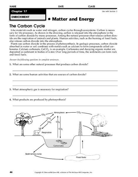 The Carbon Cycle Worksheet - Englishworksheet.my.id