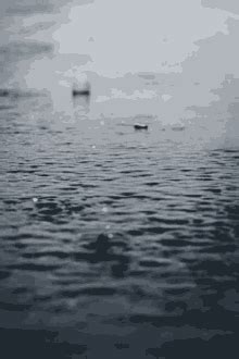 Raindrops GIF - Raindrops - Discover & Share GIFs