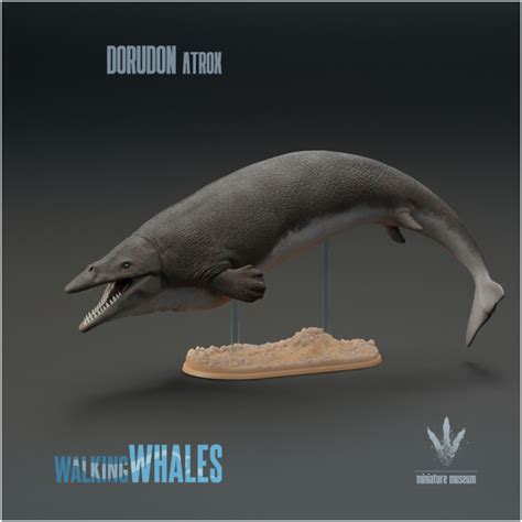 3D Printable Dorudon atrox : Spear-toothed Whale by Miniature Museum