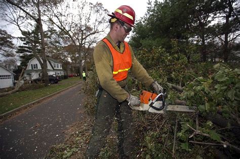 Tree Services Meadow Vista | Tree Trimming Service