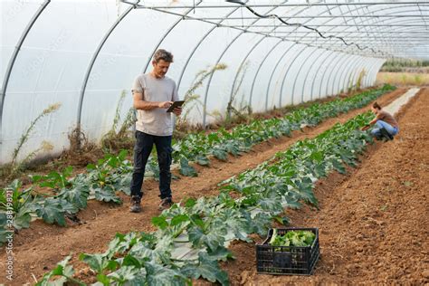 Ecological agriculture. Stock Photo | Adobe Stock