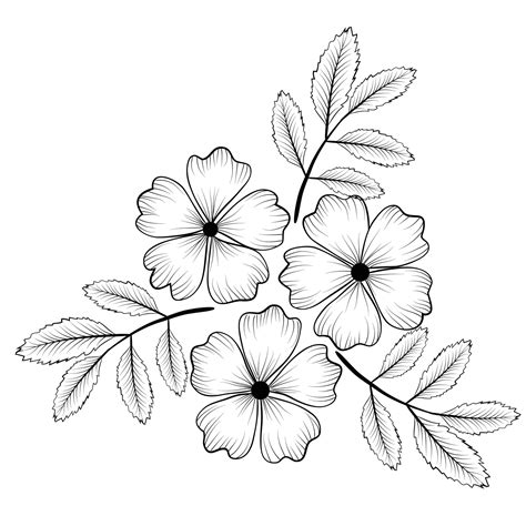 Free Vector line art and hand drawing flower art black and white flat design simple flower ...