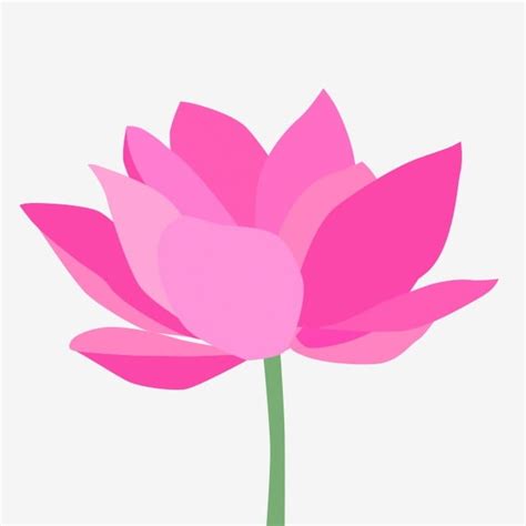 Lotus Blossom Lotus Flower Cartoon Images - mendijonas.blogspot.com